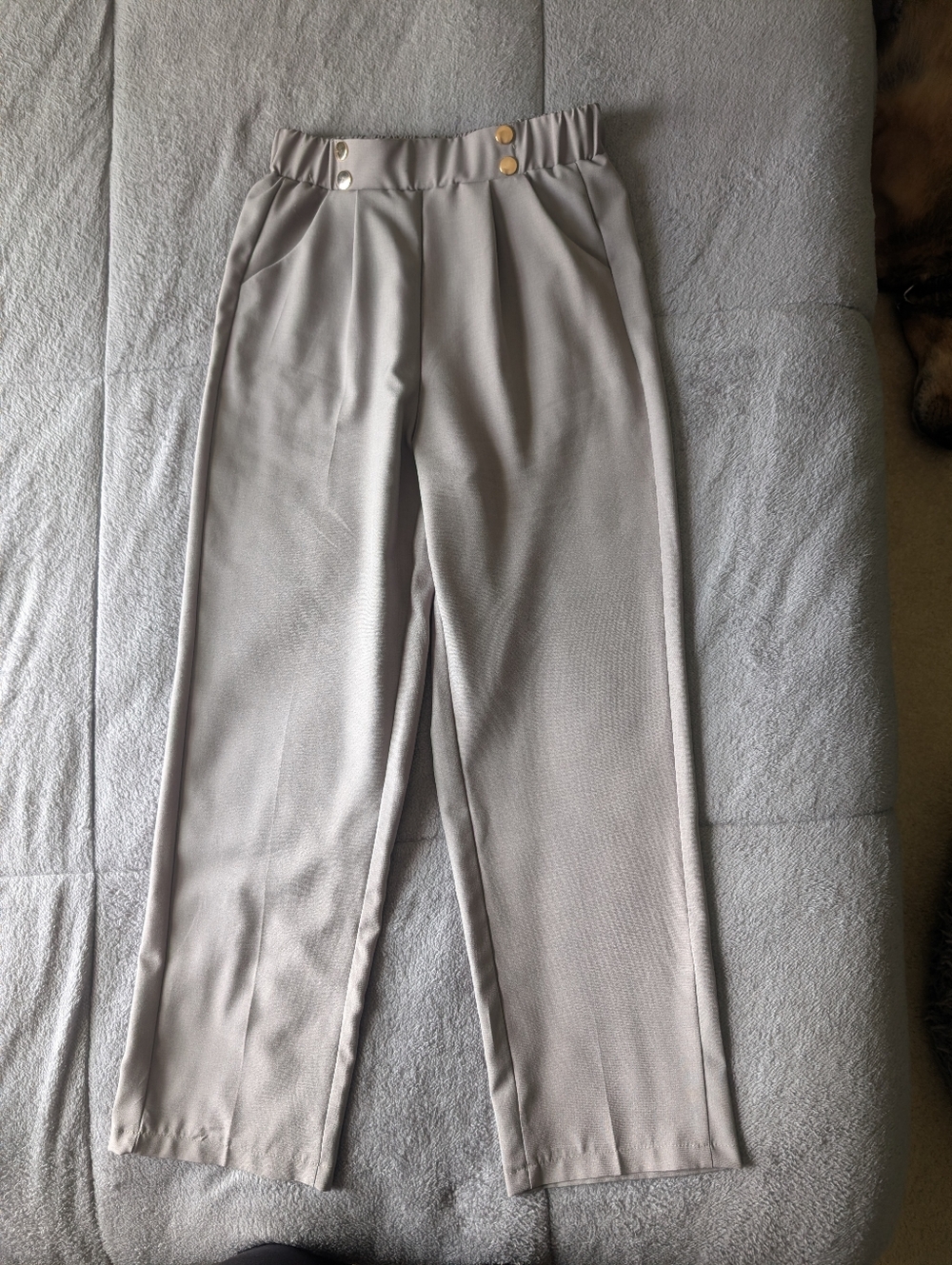 Woman's  Gray Pleated Dress Pants